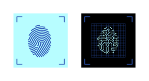 fingerprint used as biometric verification in multi factor authentication process 