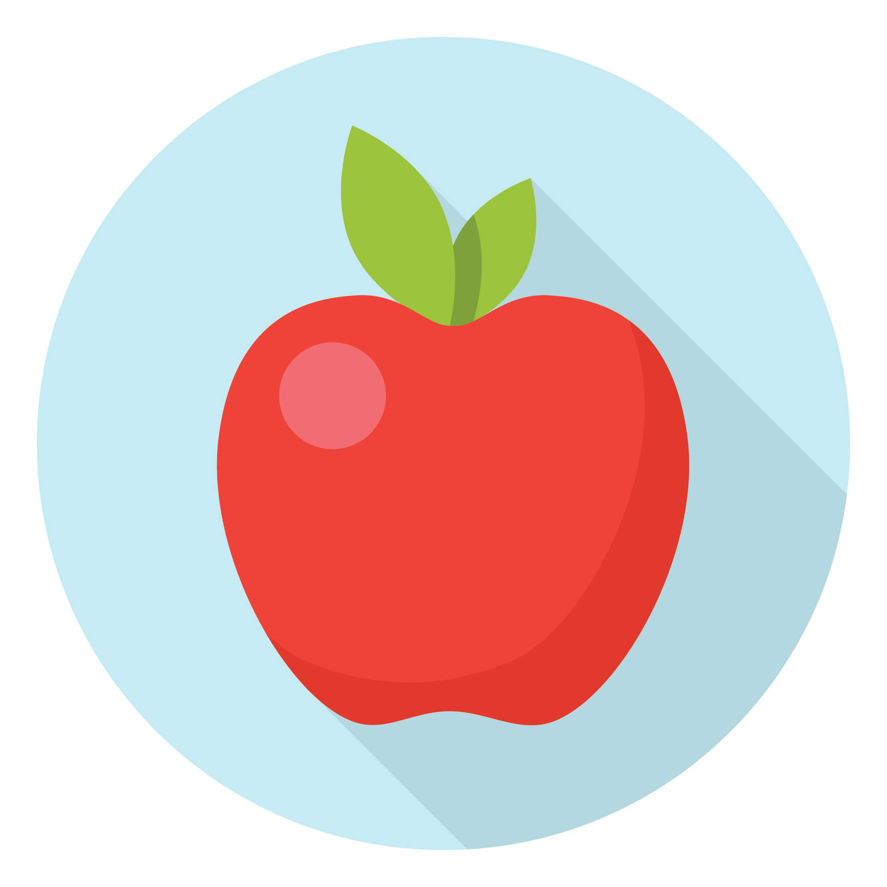 Red apple vector illustration