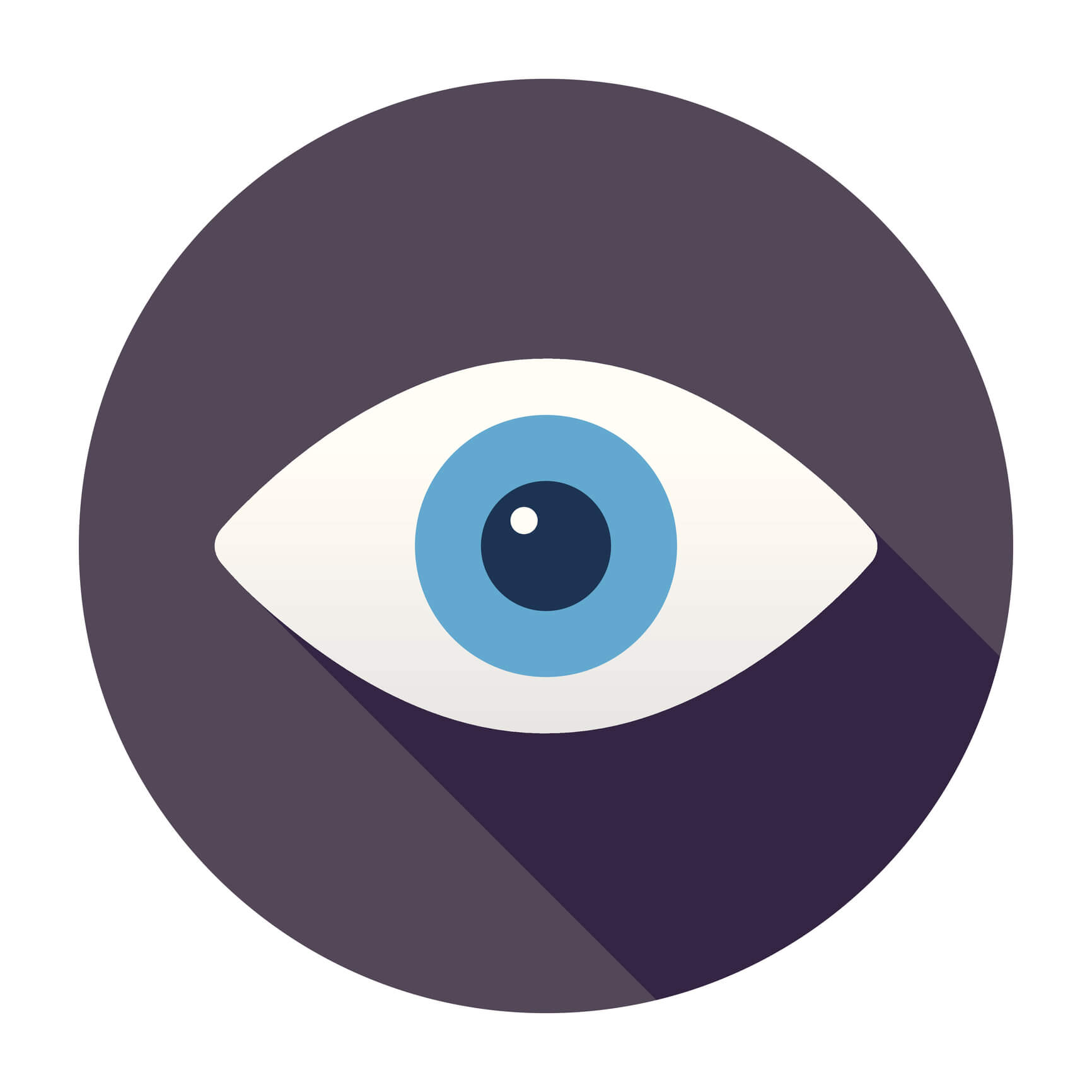 Flat eye vector graphic, privacy concept.