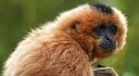 Tysers Insurance Brokers | Tysers P&I Report 2024 – It’s a jungle out there