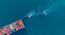 Tysers Insurance Brokers | Making waves in Marine claims